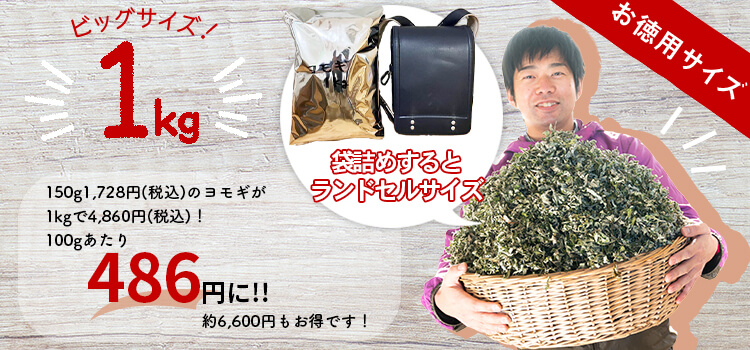 ビッグサイズ1kg　お徳用サイズ　袋詰めするとランドセルサイズ